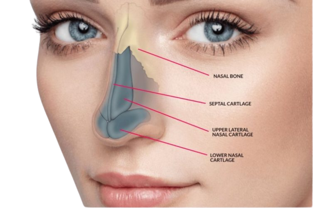 How Much Does A Nose Job Cost With Insurance?