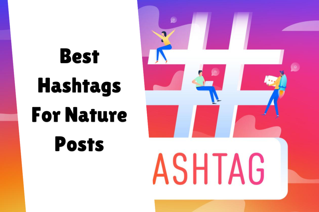 Best Hashtags For Nature Posts 