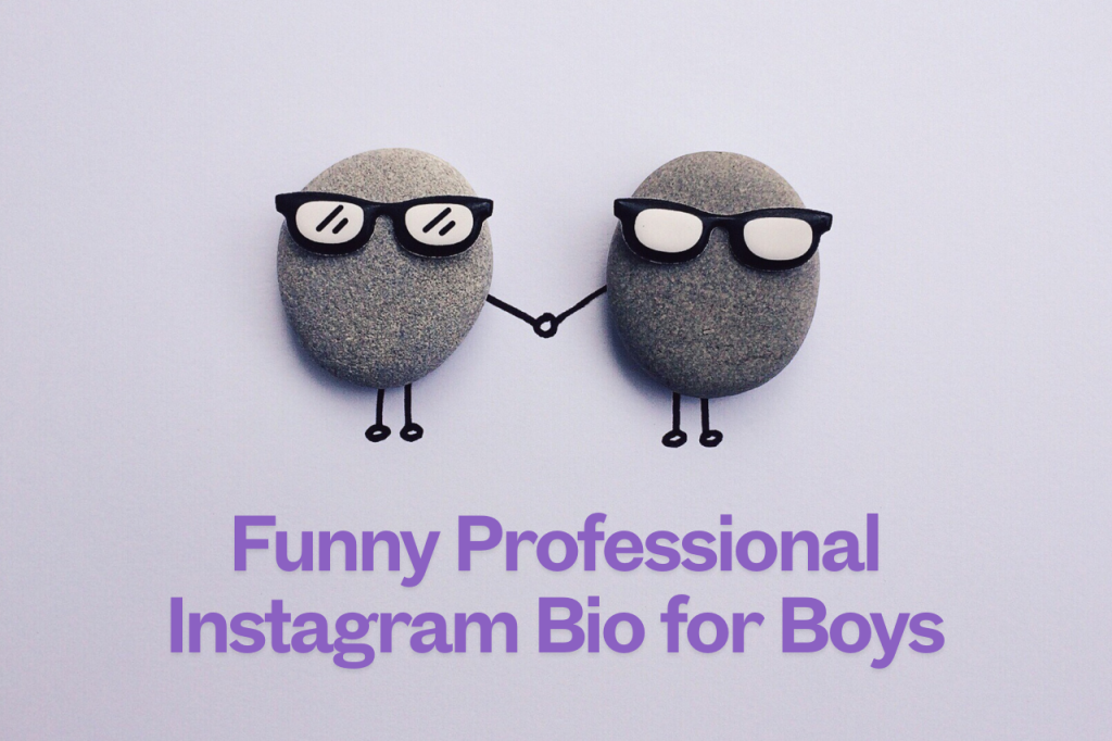 Funny Professional Instagram Bio for Boys