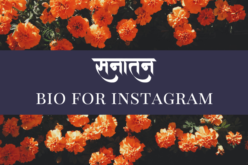 Sanatani Bio For Instagram in Sanskrit